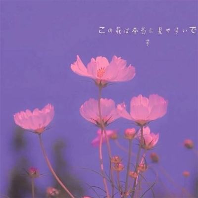 金融监管总局：坚决拥护党中央决定